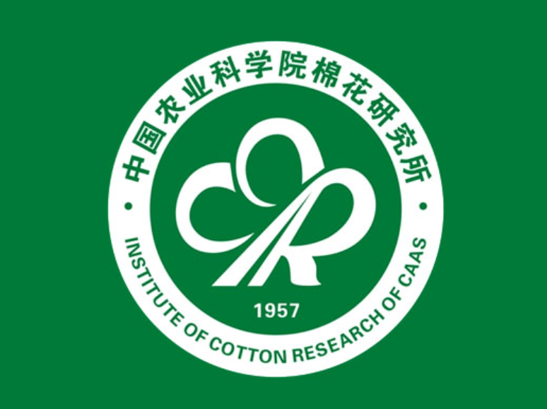 中棉所