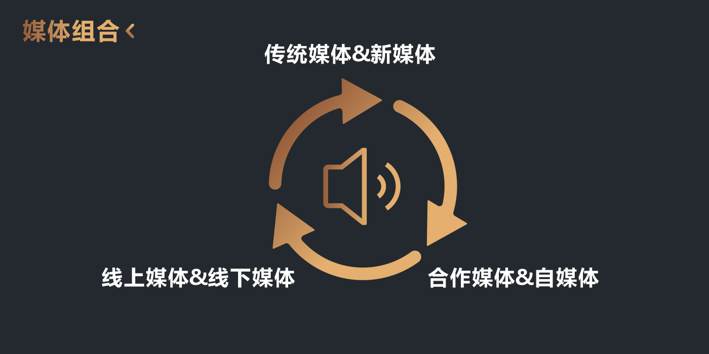 媒体组合